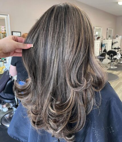 teddy bear brown highlights bay area hair salon