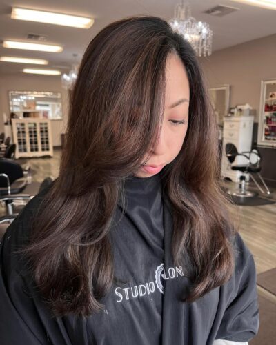 teddy bear brown highlights bay area hair salon